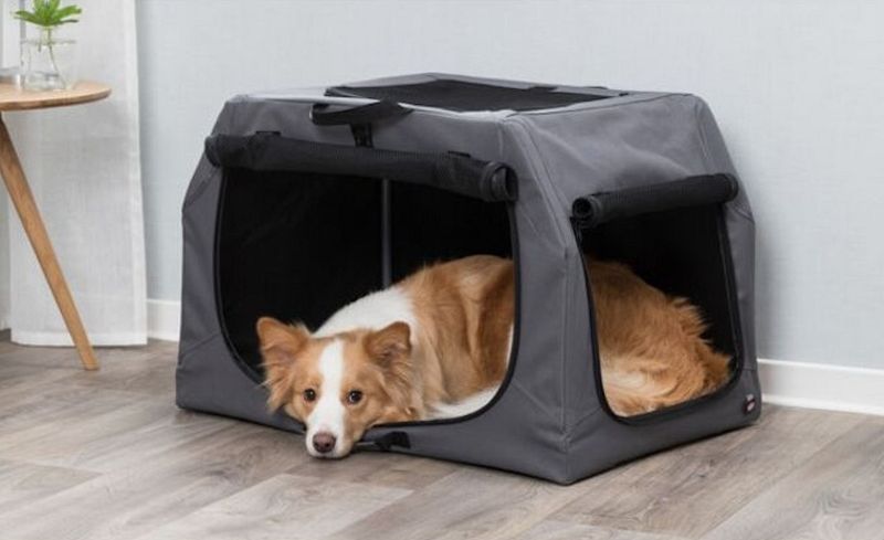 ZOOLOGO - Angebote für Hunde