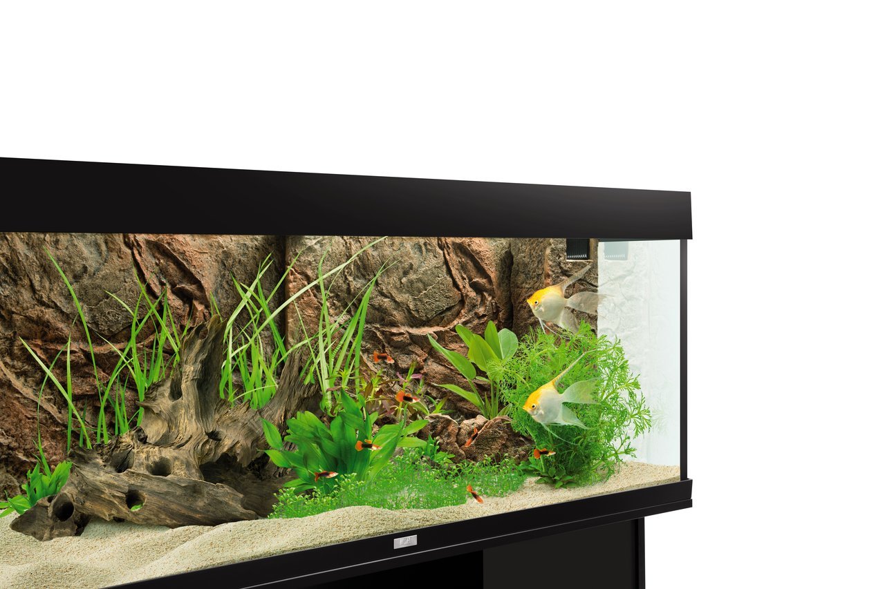 JUWEL Aquarieneinrichtung