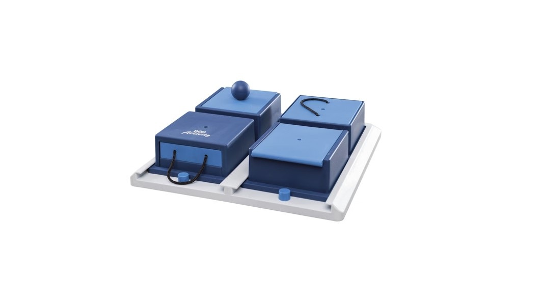 Beschäftigung & Intelligenz