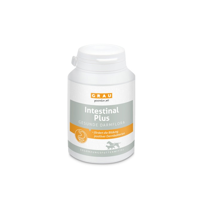 Verdauung, Magen & Darm