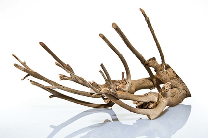 aquadeco Aquariendekoration