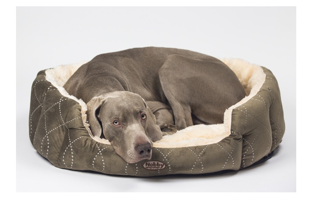 Neuheiten für Hunde