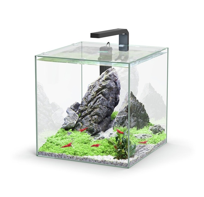 Neuheiten für Aquaristik und Teich