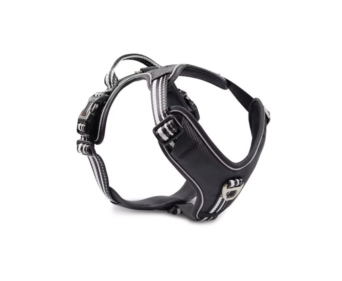 Halsbänder, Leinen & Geschirr