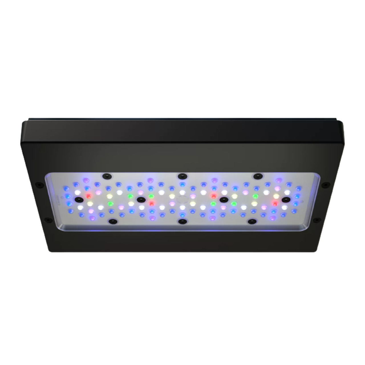 Ecotech LED Beleuchtung Aquaristik