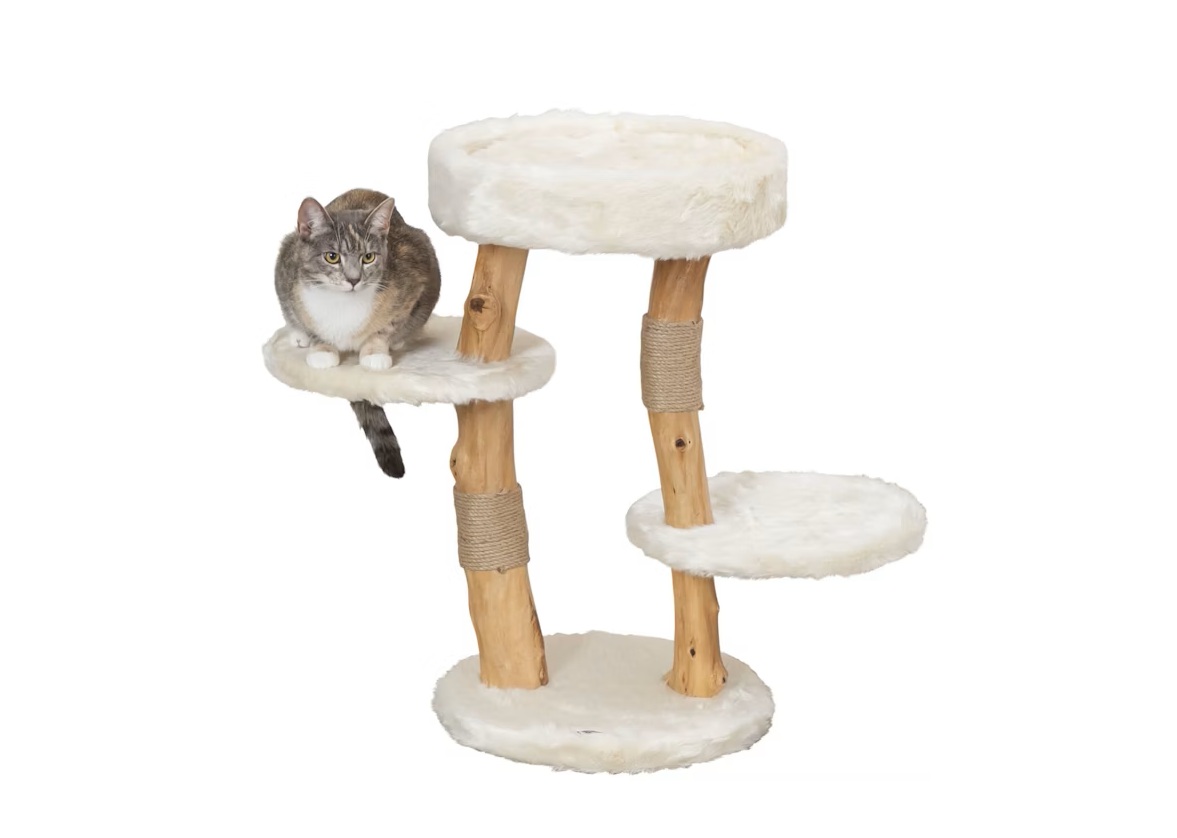 Neuheiten für Katzen