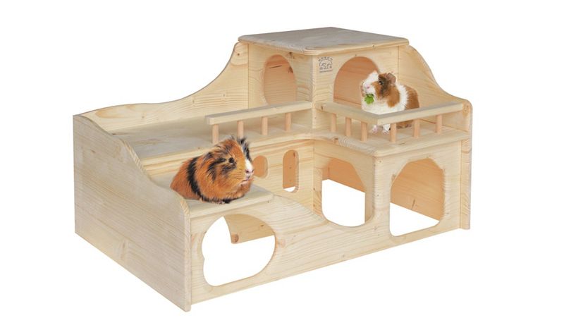 ZOOLOGO - Angebote für Kleintiere