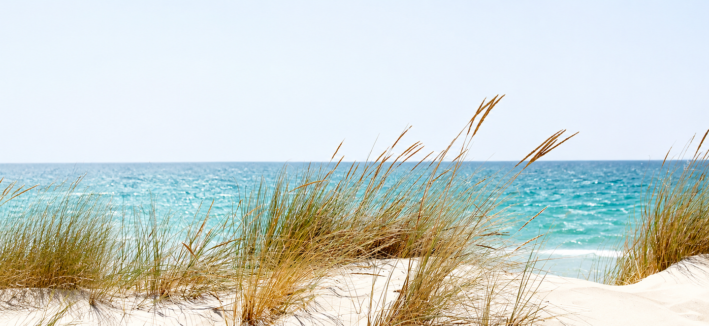 ZOOLOGO - Unsere Sommerhits