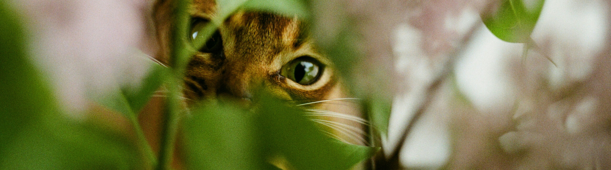 Titelbild Entdecken Sie Sonderangebote!