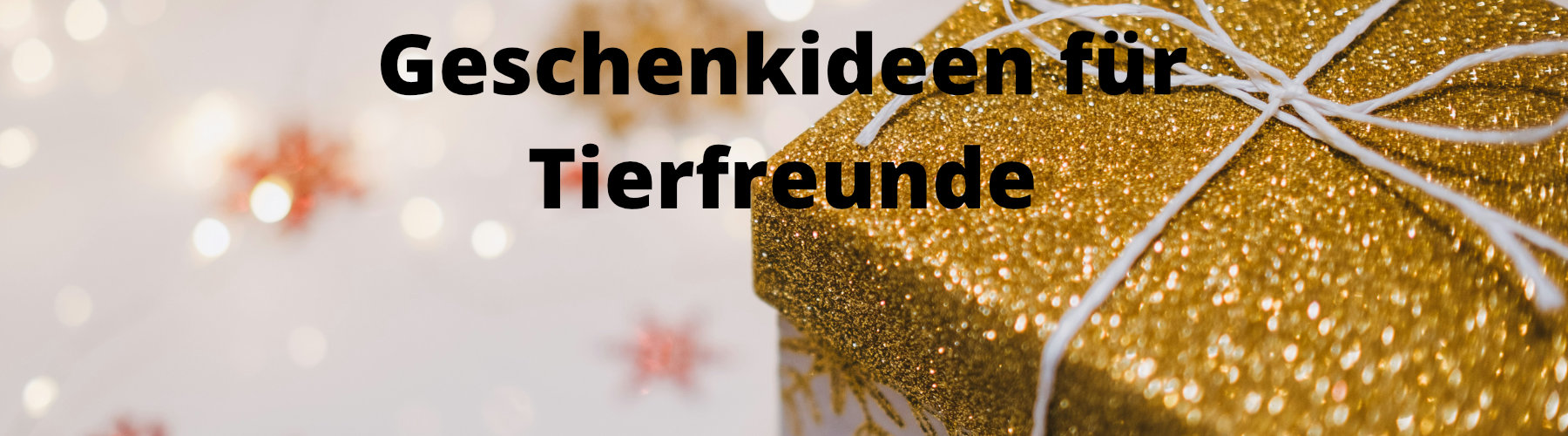 Titelbild Geschenkideen