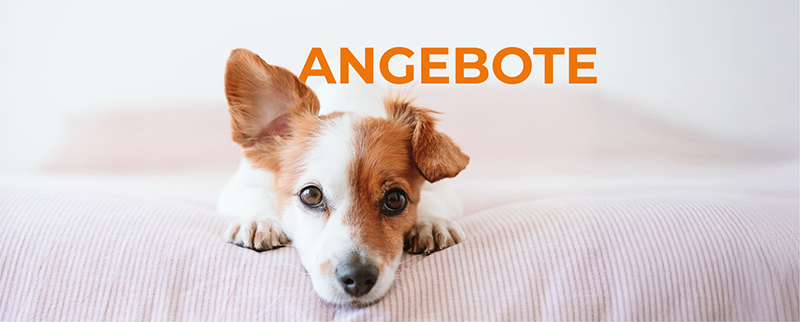 Entdecken Sie Sonderangebote!