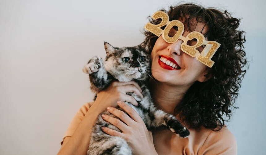 Mit Katze in Ruhe Silvester feiern