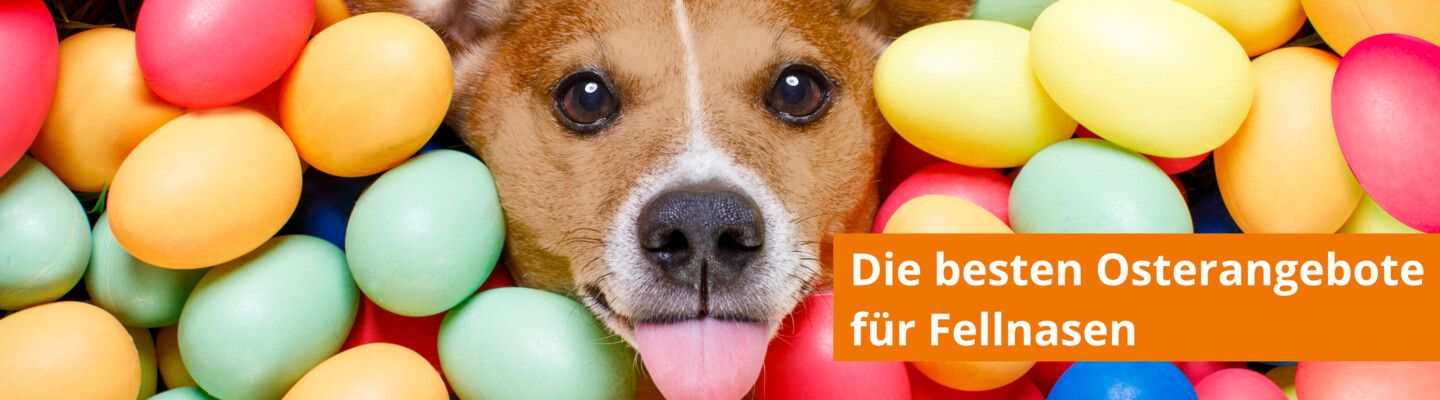 Freuen Sie sich über tolle Geschenke mit der Zoologo Osteraktion