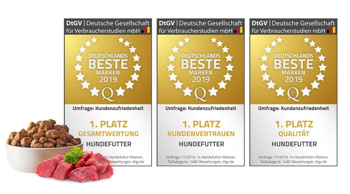 Preis: beste Marke Deutschlands 2019