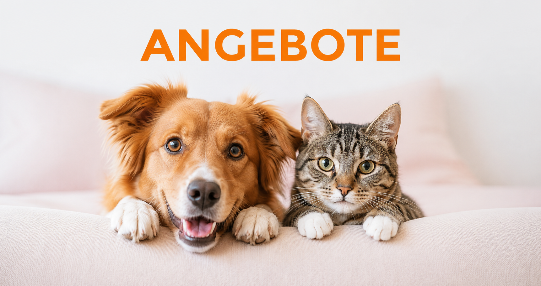 Entdecken Sie Sonderangebote!