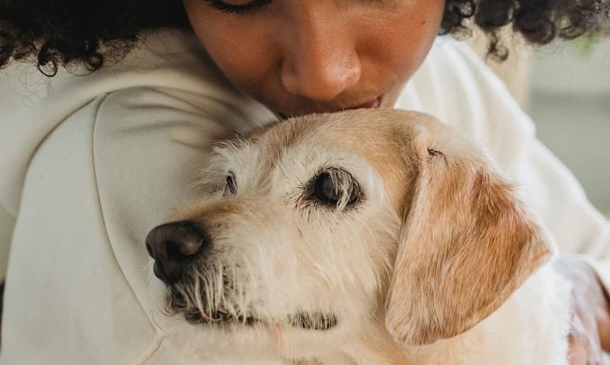 Hundewelpe wird umarmt