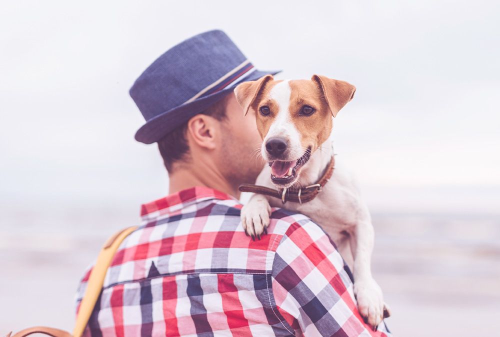 Hundefutter für kleine Hunde von Happy Dog
