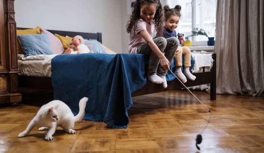 Zwei Mädchen spielen mit der Katze und einer Katzenangel