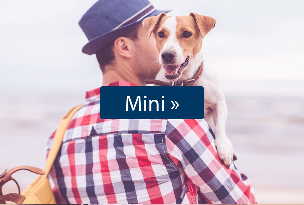 Hundefutter für kleine Hunde von Happy Dog