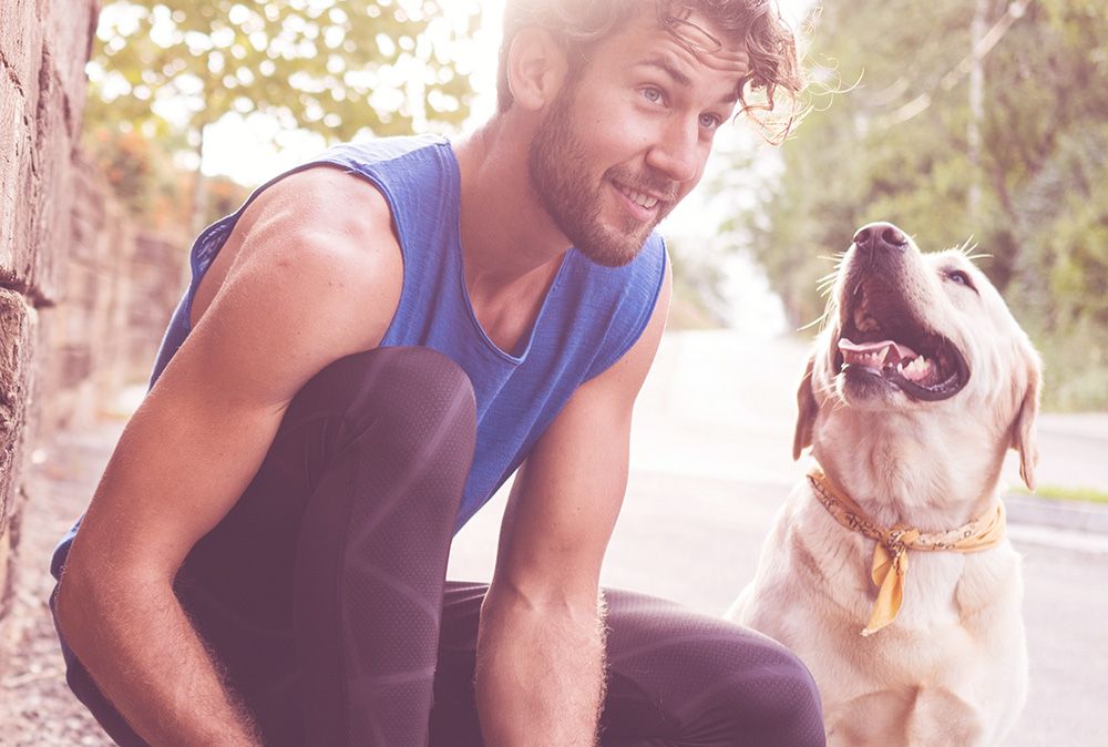 Happy Dog fit & vital Futter für Hunde