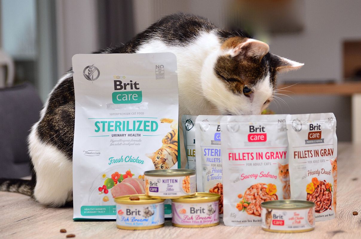 Katze sitzt hinter Brit Care Produkten