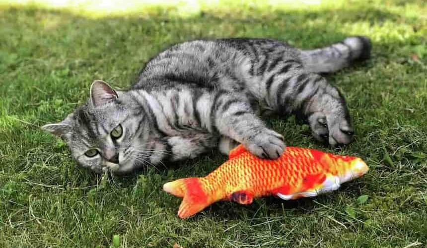 Die Katze spielt mit einem Spielzeug-Fisch