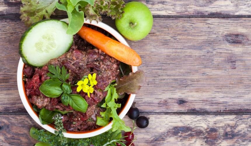 Schale mit BARF-Fleisch