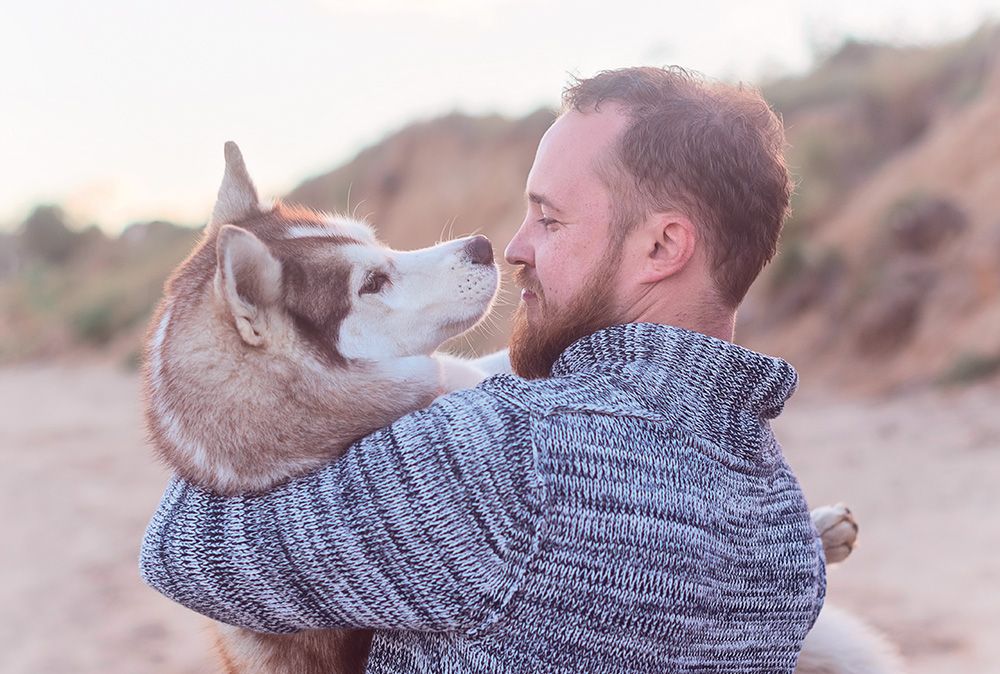 Sensibles Hundefutter von Happy Dog