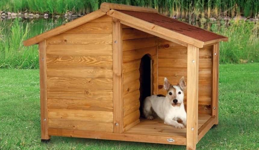 kleiner Hund vor Hundehütte