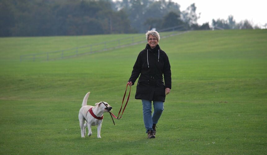 Frau mit Hund beim Spaziergang auf grüner Wiese