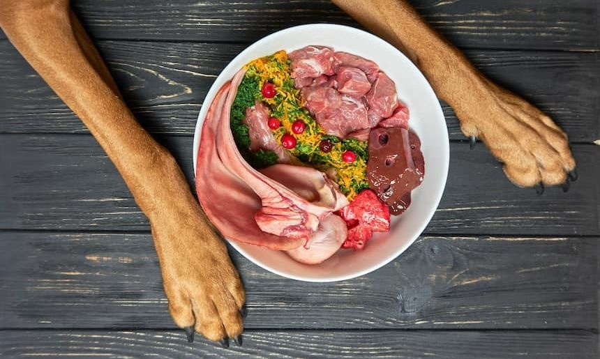 Ein teller voller BARF-Futter für den Hund