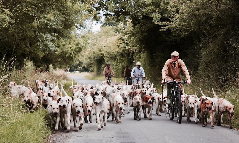 Fahrradfahren mit Hund