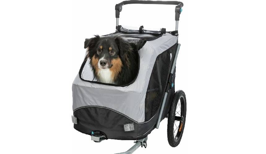 Mittelgroßer Hund in Fahrradanhänger