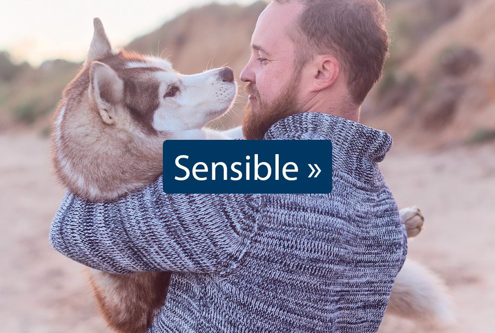 Sensible Hundefutter