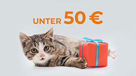 Geschenke unter 50€
