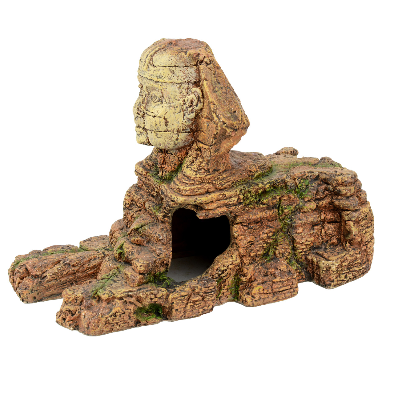 aquatlantis Aquariendekoration