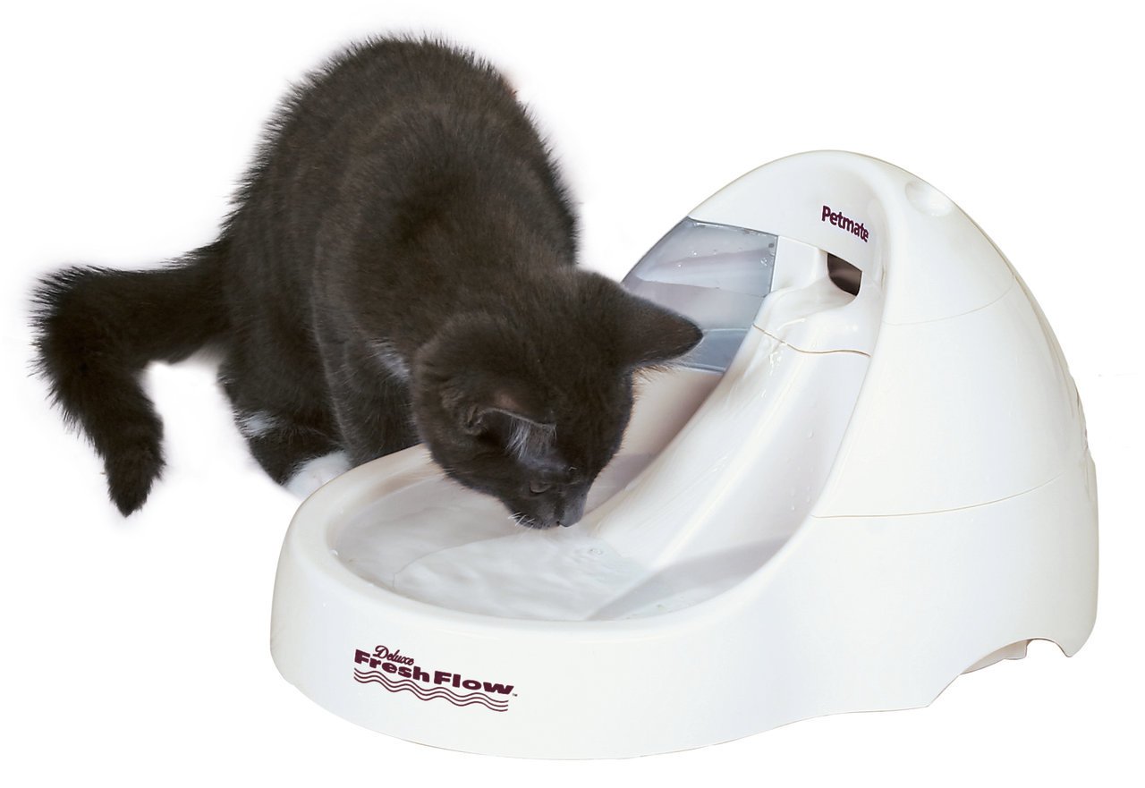 Futternäpfe & Trinkbrunnen