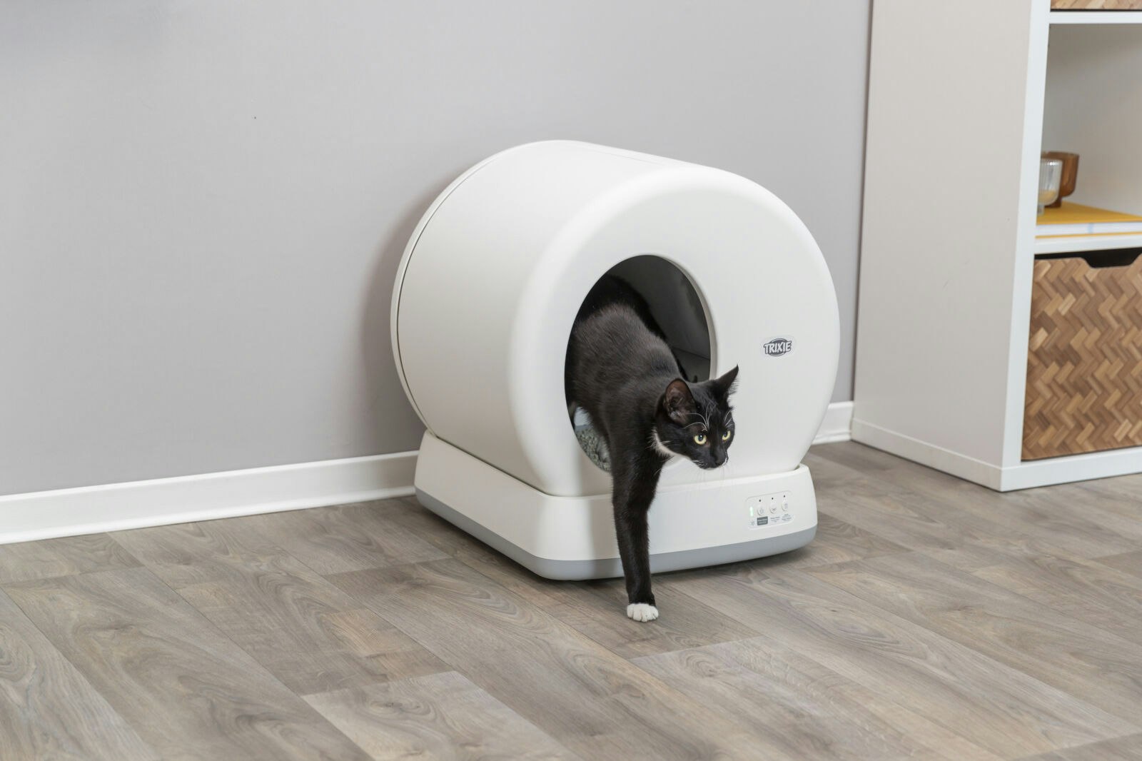 Selbstreinigende Katzentoiletten