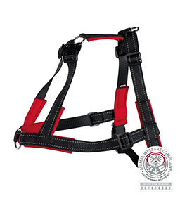 Ausbildungsgeschirr & -halsbänder