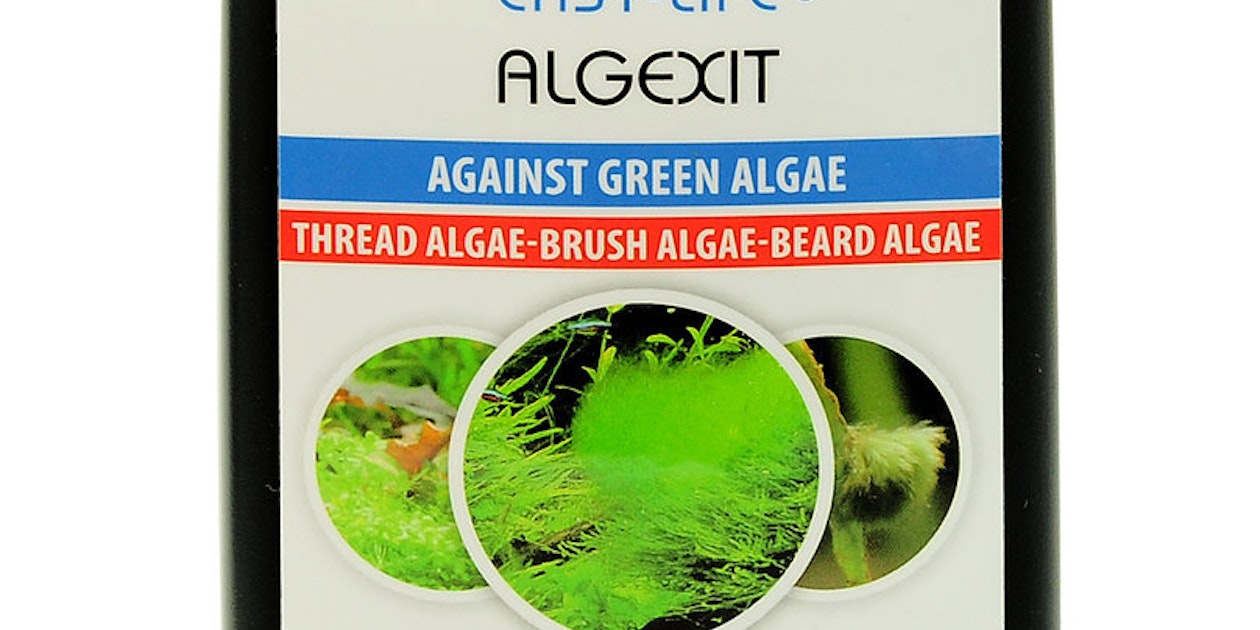 EASY-LIFE Algexit tegen groene algen EASY-LIFE Algexit tegen groene algen