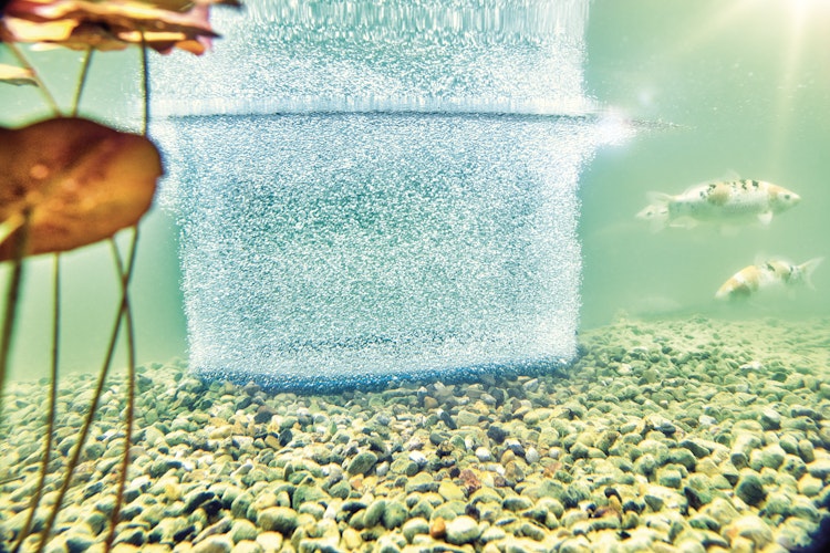 Oase Belüfterring D 60 für AquaOxy