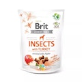 Brit InsectsVorschaubild