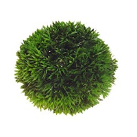 HOBBY Plant Ball 9 Centimeter Aquarieneinrichtung
