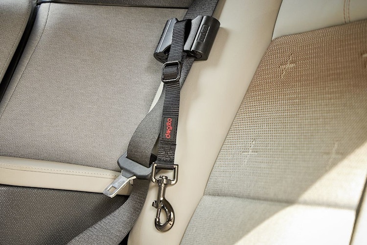 Wolters Dogsto Hunde Sicherheitsgurt