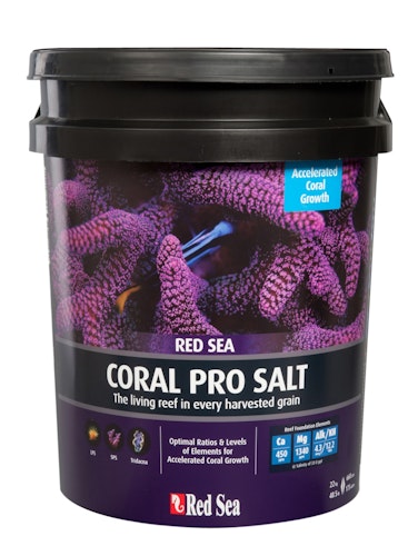 Red Sea Coral Pro Salz