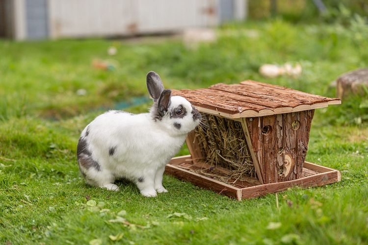 TRIXIE Heuraufe mit Boden und Dach, Rindenholz, 40 × 22 × 30 cm