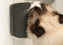 Vorschaubild catit Senses 2.0 Self Groomer Massage-Ecke Katzenspielzeug