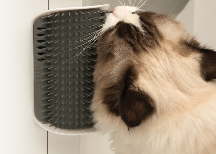 catit Senses 2.0 Self Groomer Massage-Ecke Katzenspielzeug