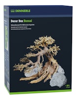 DENNERLE Decor Box Bonsai Aquarieneinrichtung