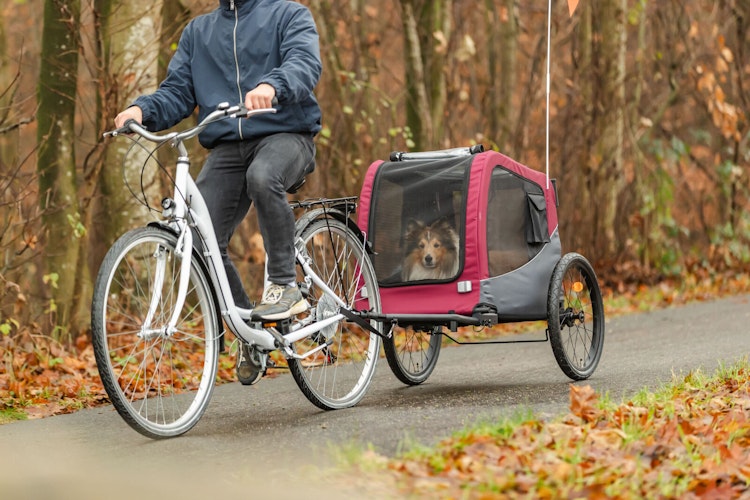 TRIXIE Fahrrad-Anhänger 2.0 schwarz/rot Größe L (75 x 86 x 80 (145) cm)